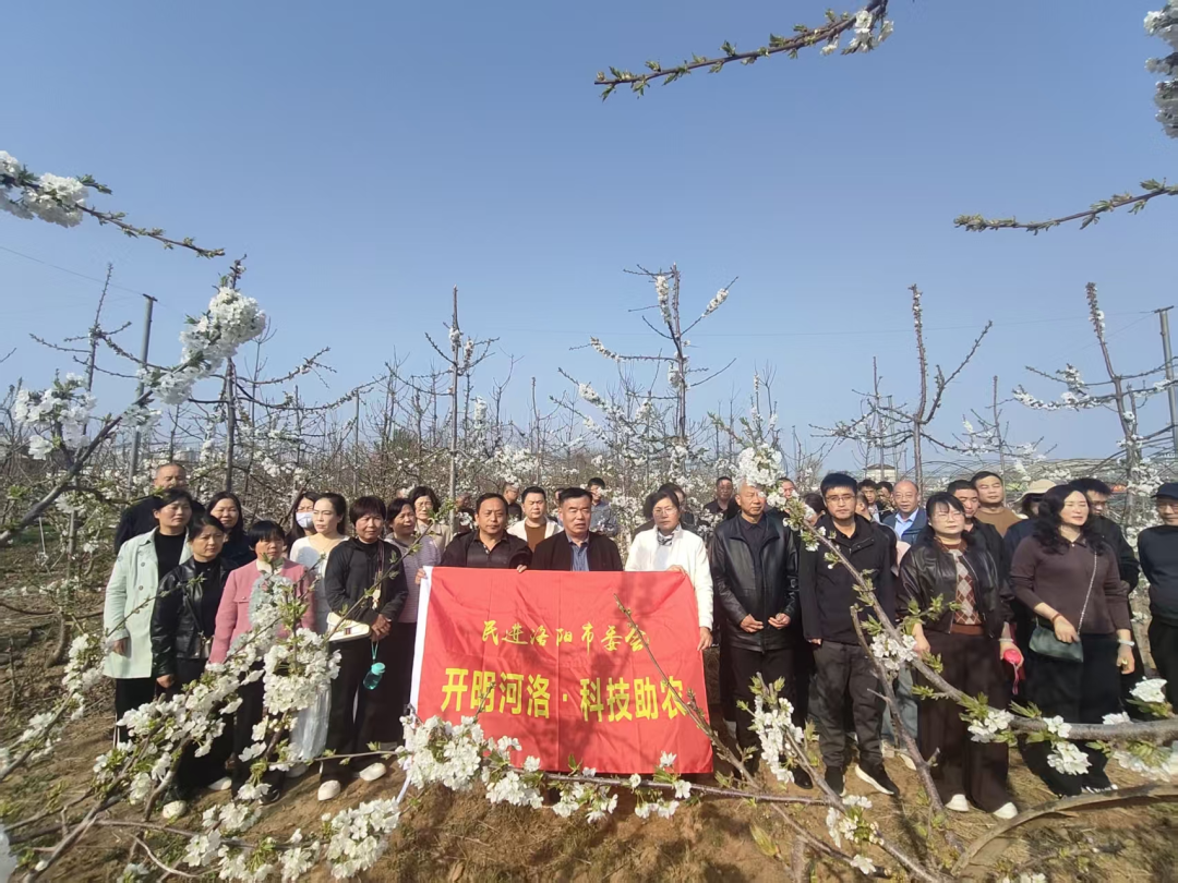 民进洛阳市洛龙区一支部联合民进河南省直第九支部开展“开明河洛